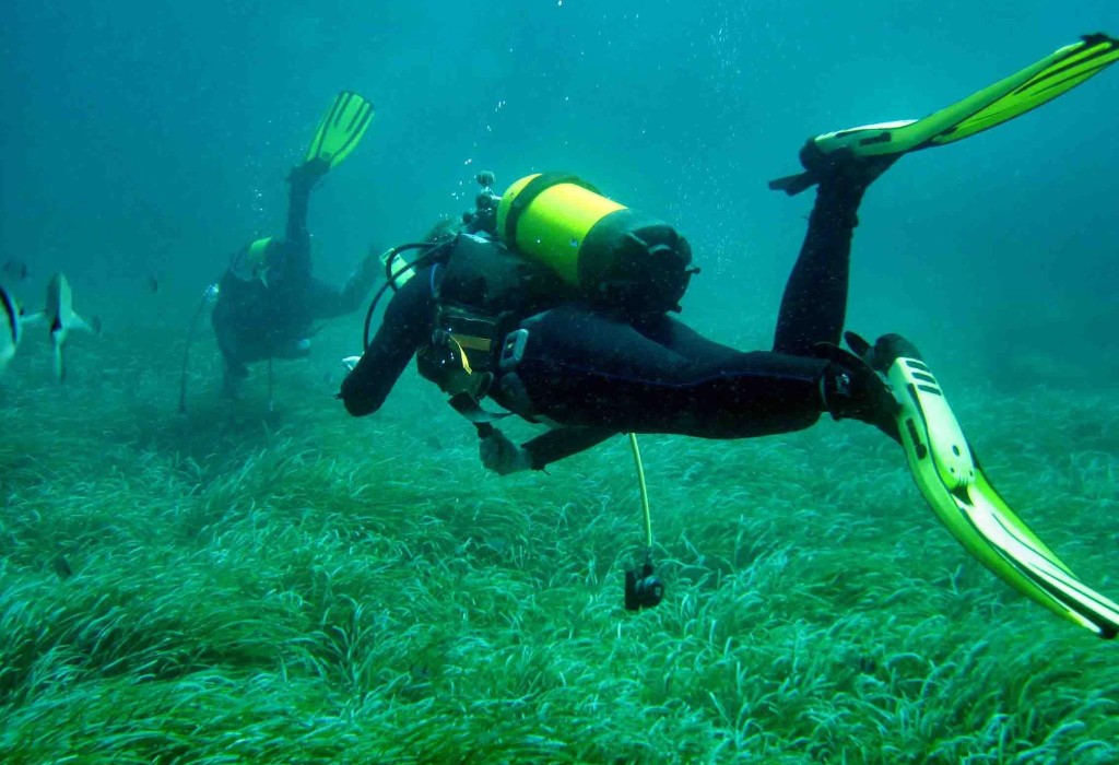 Exploration en mer (pour les plongeurs confirmés)