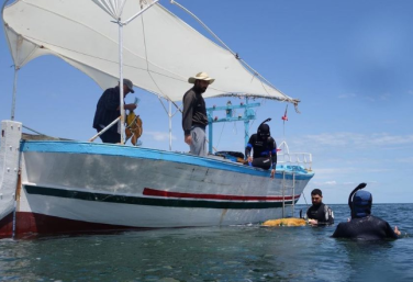 Aventure Snorkeling (Balade en bateau , snorkeling et déjeuner )